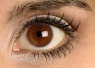 Barvu očí určují tři geny. Pouze dva vědci znají dobře