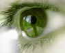 Zelený zákal a syndrom suchého oka: Léčba glaukomu má přednost