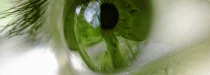 Zelený zákal a syndrom suchého oka: Léčba glaukomu má přednost