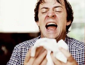 Oční alergie vznikají nejen z pylů